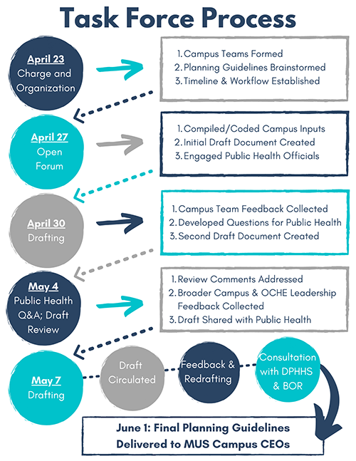 Task Force Process