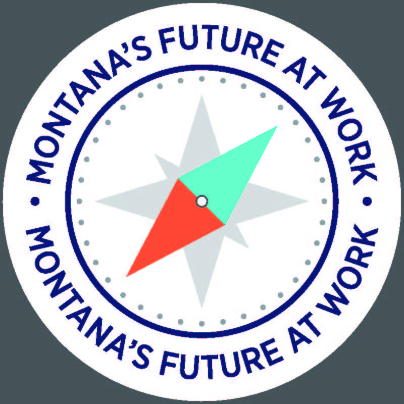 FAW Logo