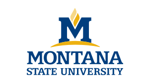 Montana State University - Bozeman